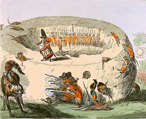 Cartoon of Rats in British Outifts on Suffolk Cheese